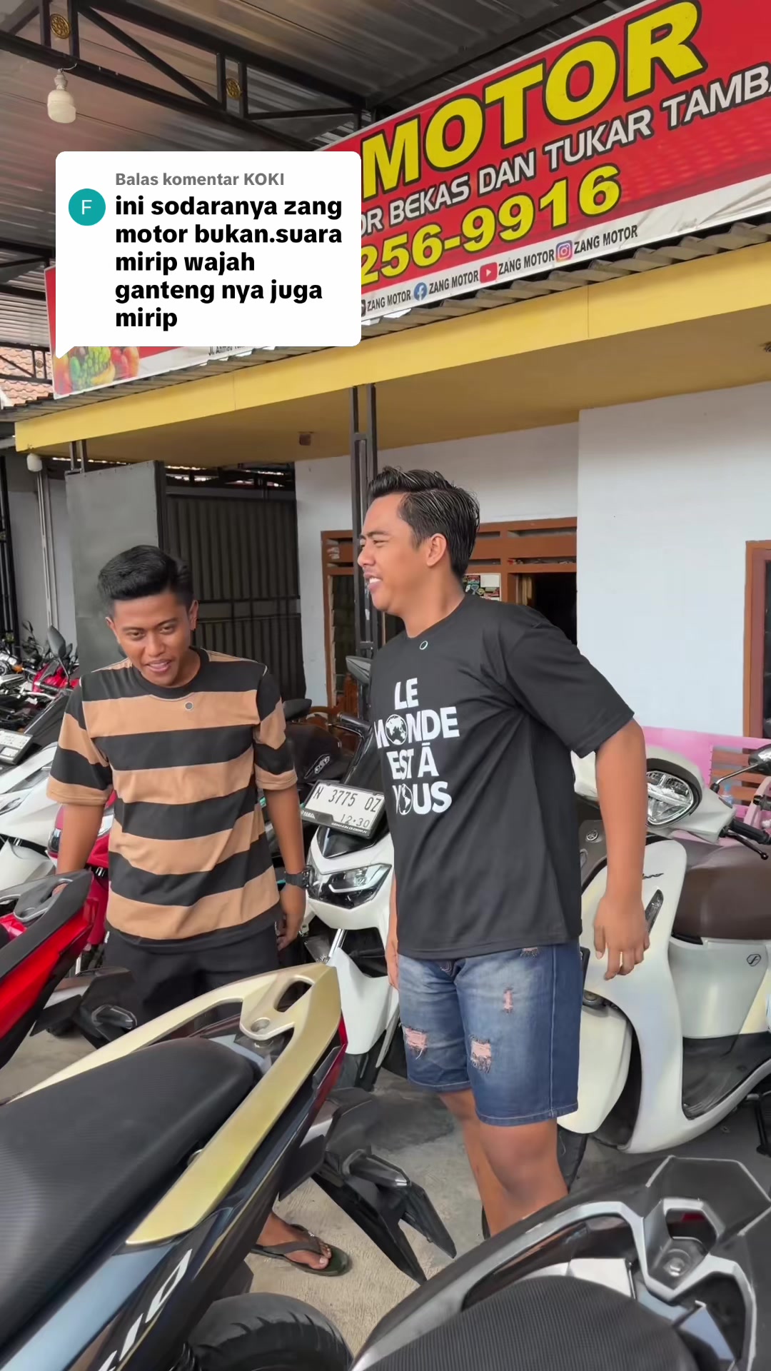 @Zang Motor