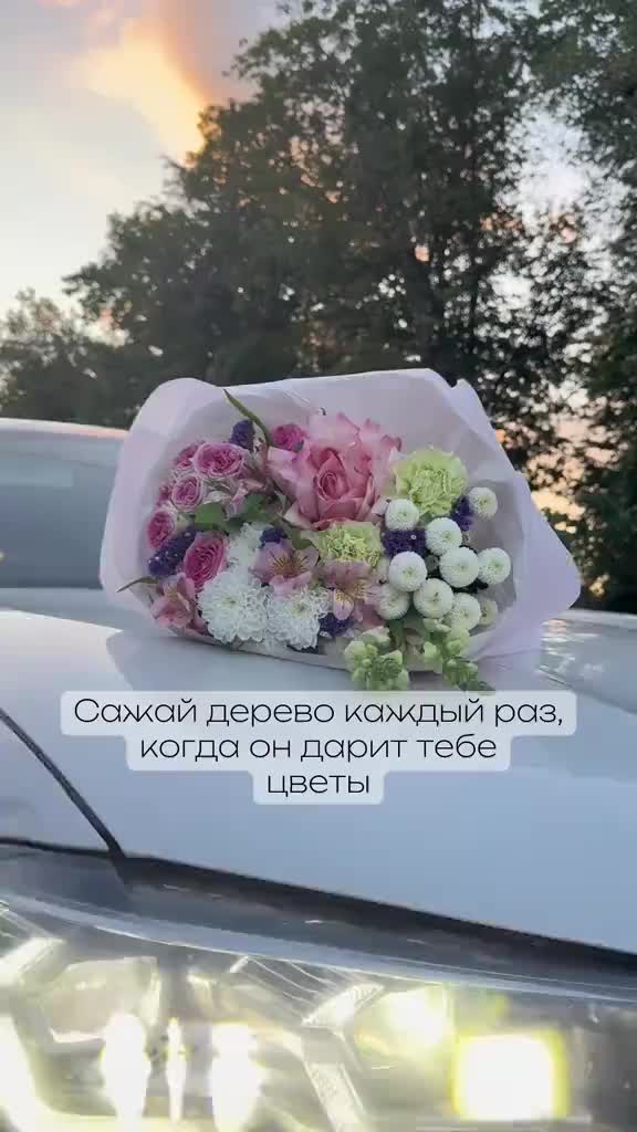 @🌸Алина Алексеевна🌸