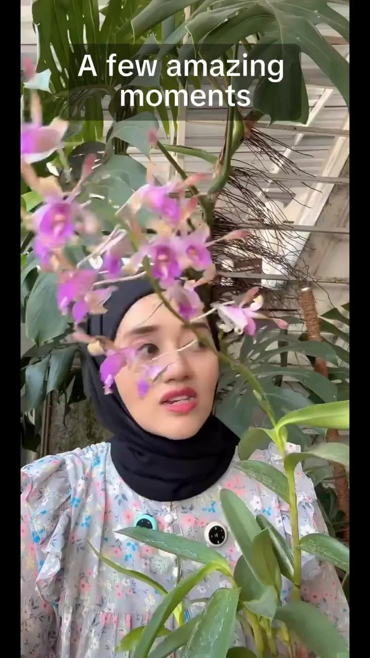 @Anggina Orchid