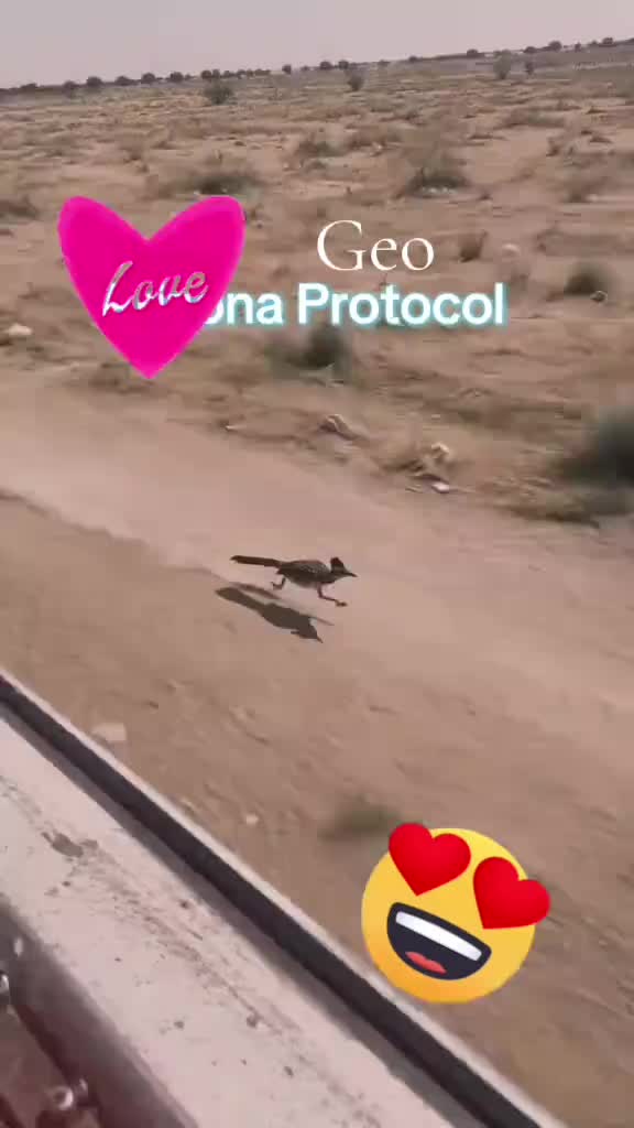 @🥀🥀🥀