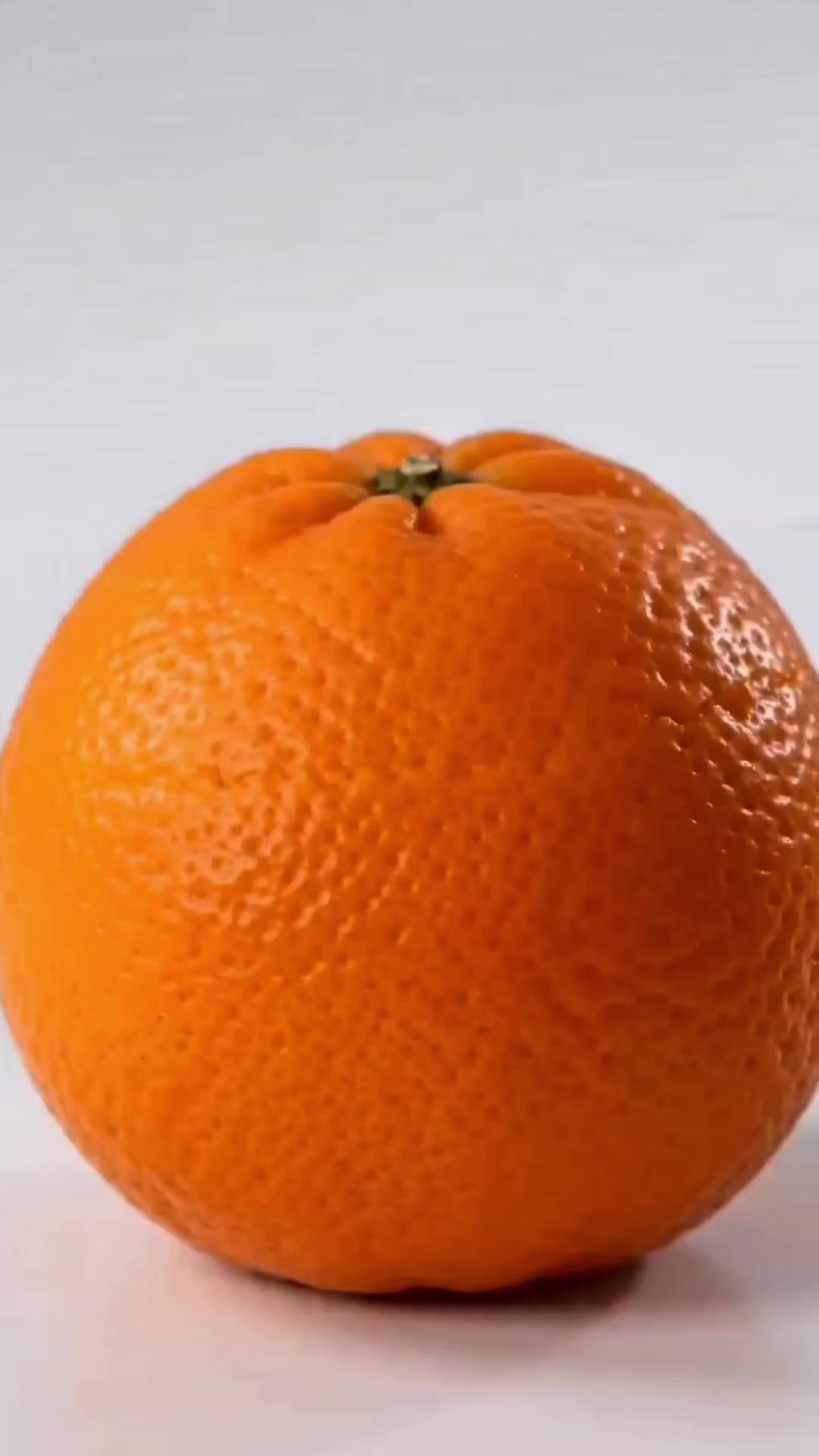 @Macro Zoom