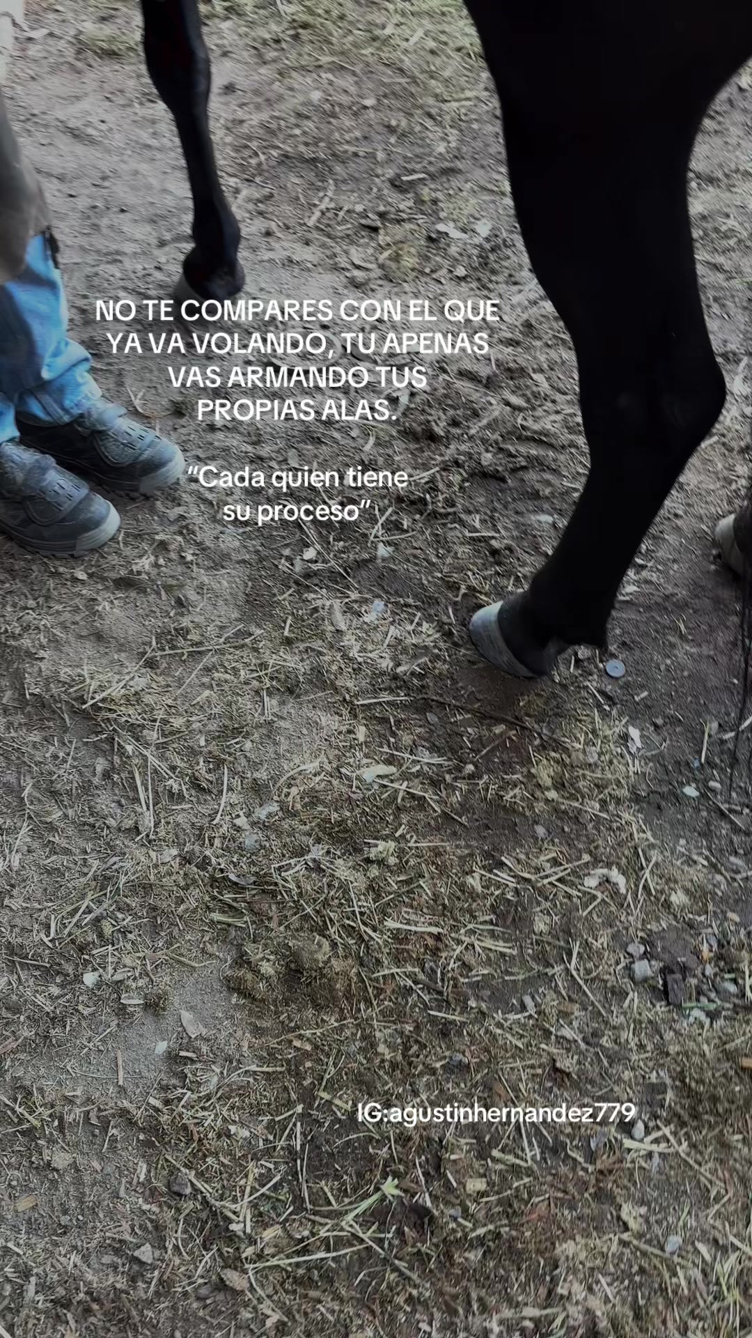 @Agus🩺🐎