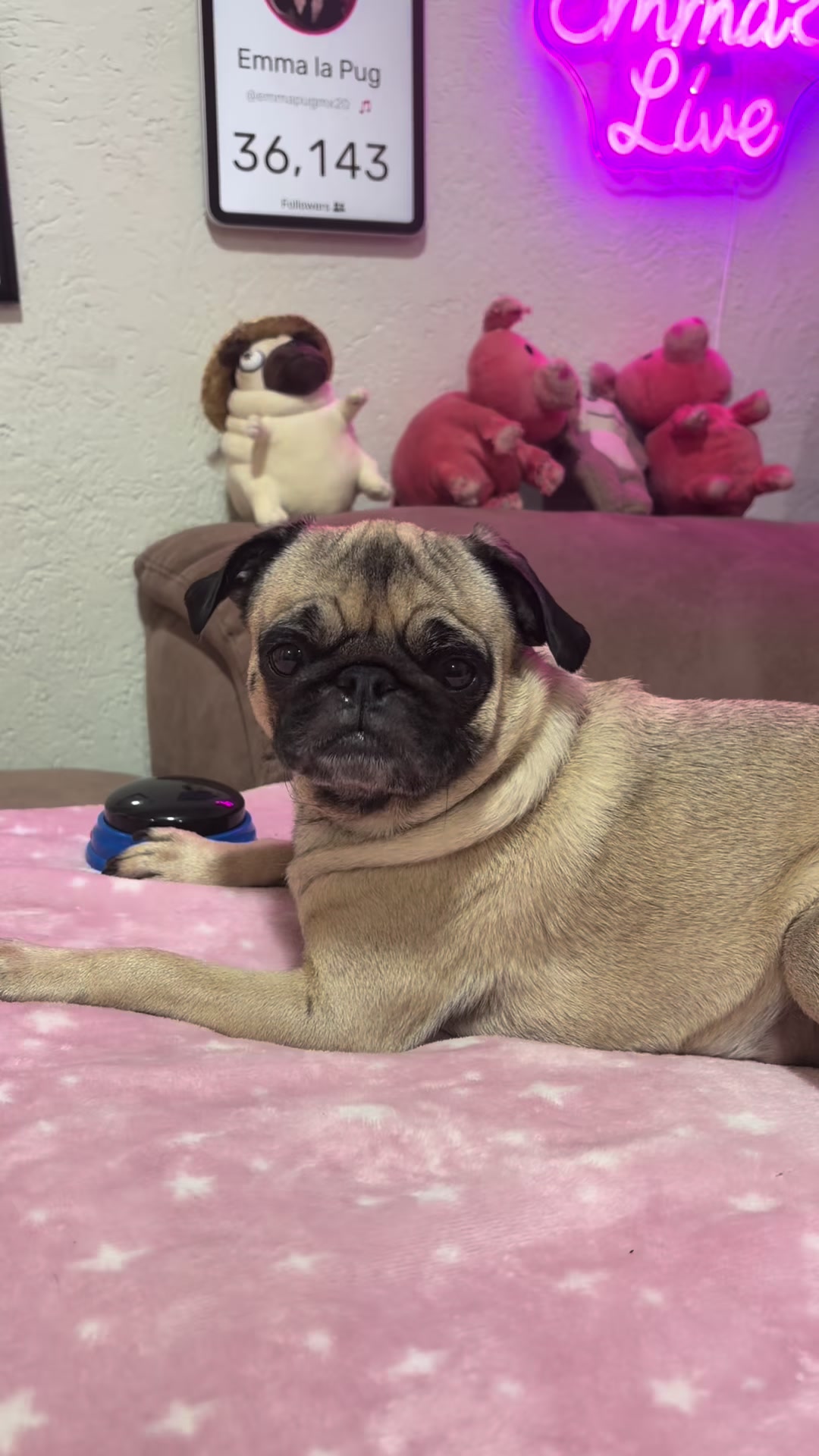 @Emma la Pug