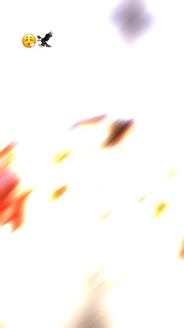 @๐ณ๐๐๐๐๐๐ ๐๐๐๐ ๐ง