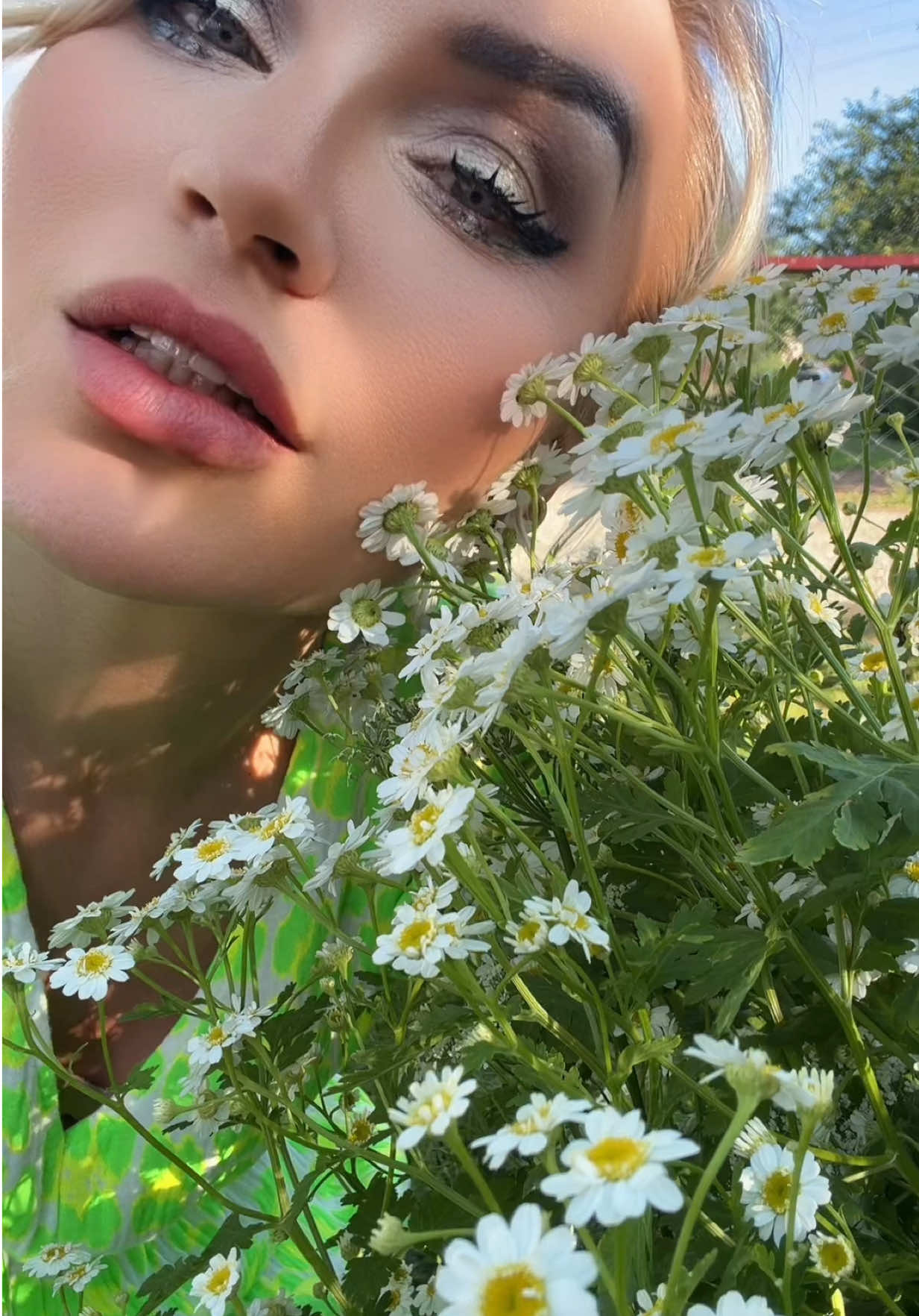 @chertapet