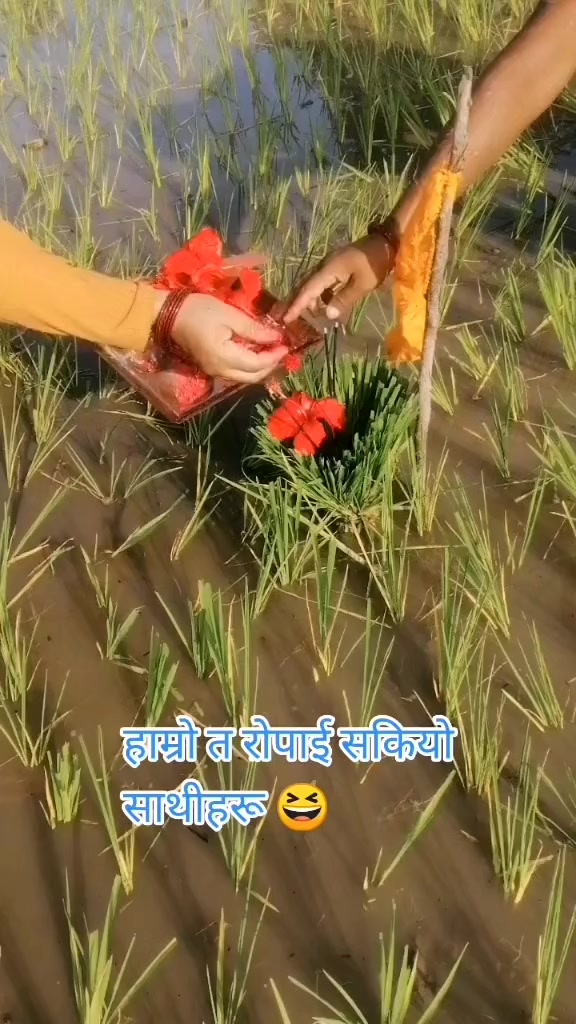 @Deepa Mahara