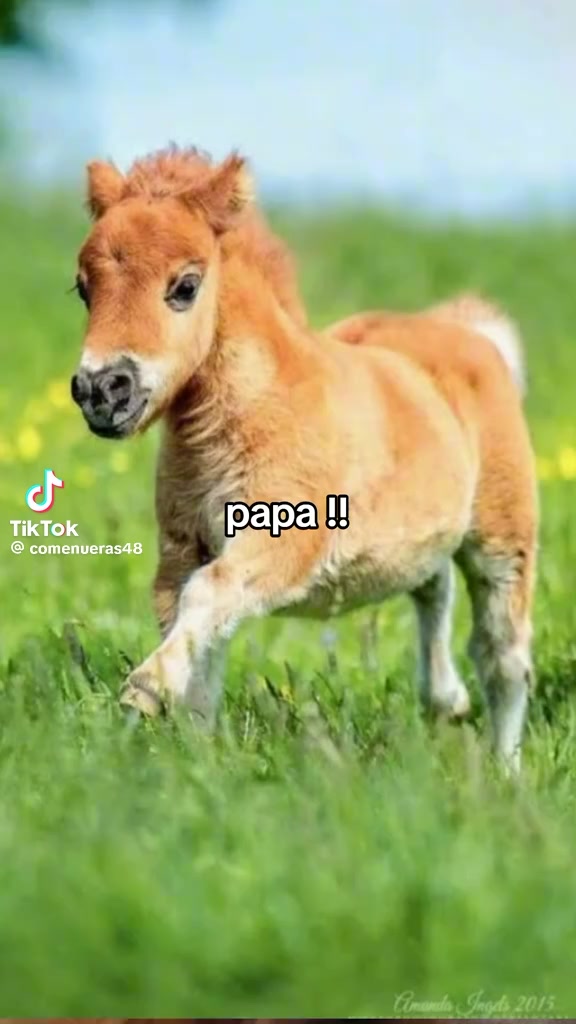 @โ๐ฒ๐ค๐ฌ ๐ก๐ฅ๐ข๐๐ฑ