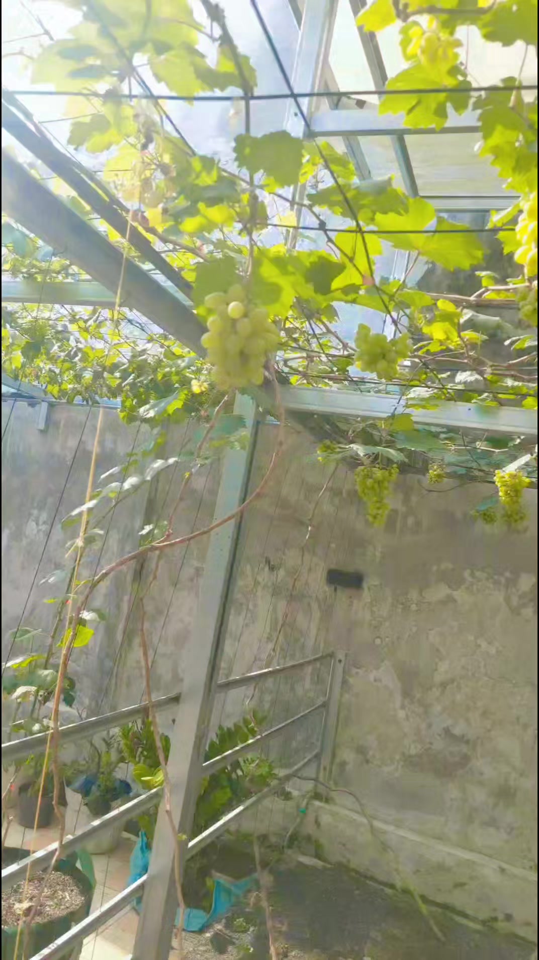 @🌻⚘️DY⚘️🌻