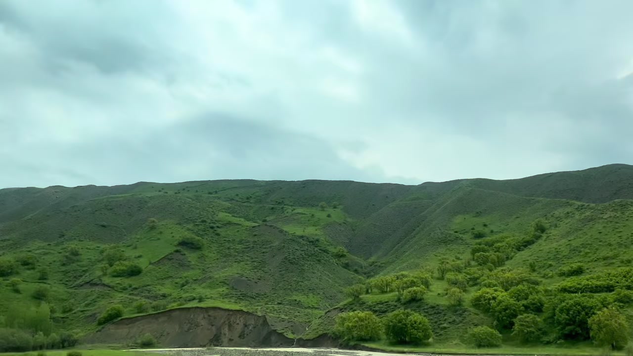 @Denbij_şakiro.