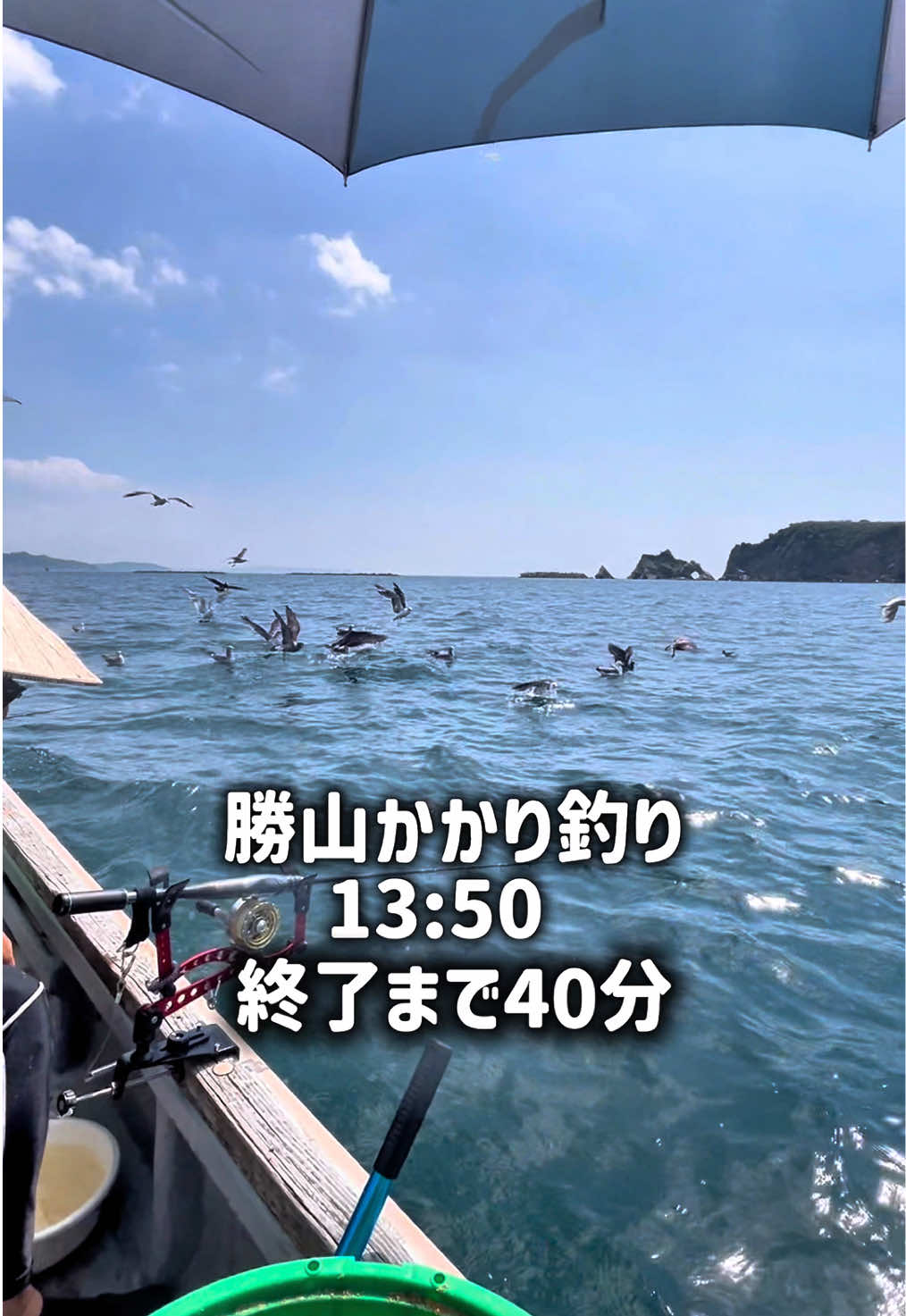 @チヌチヌ🐠