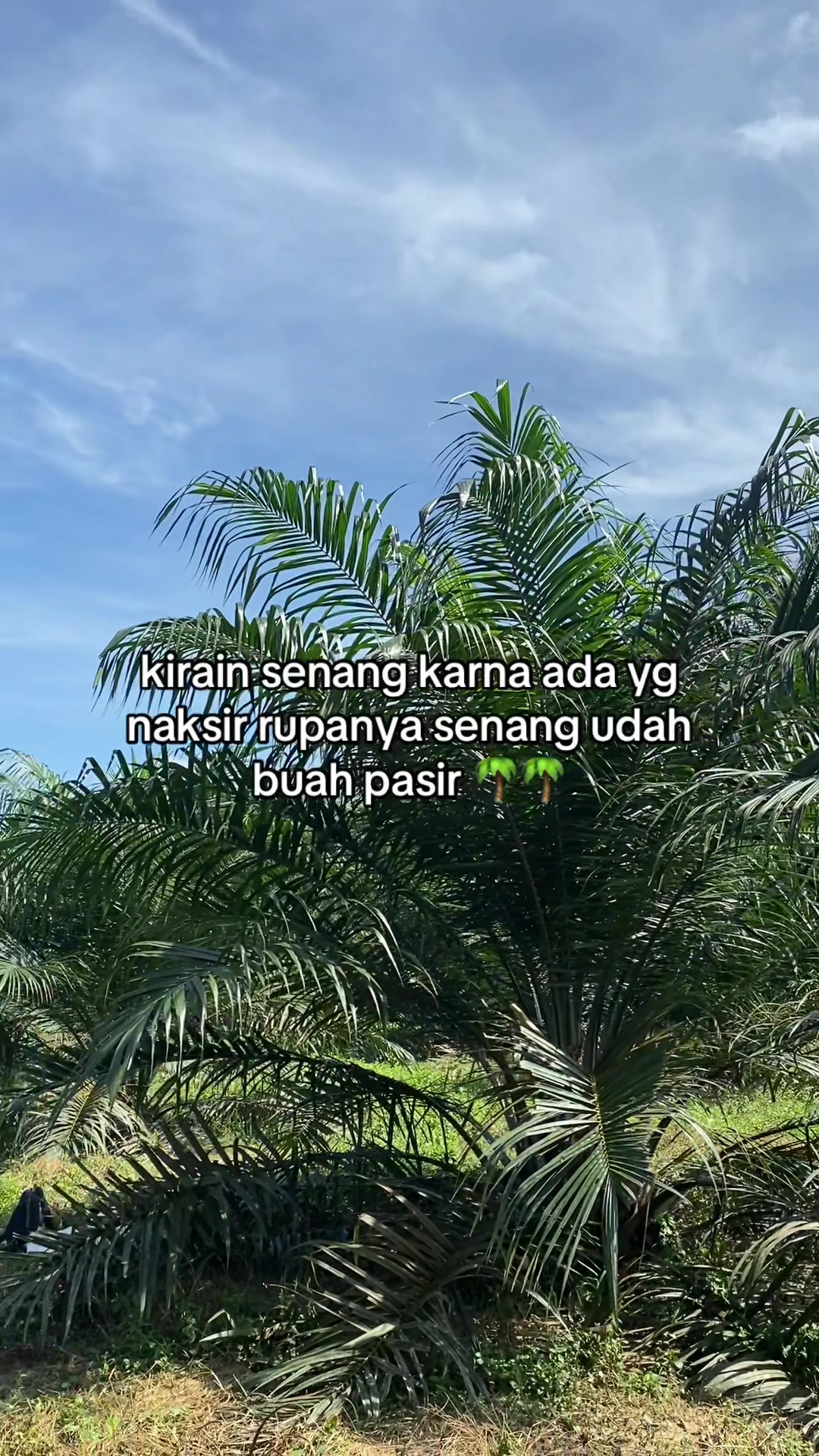 @Nildo Wiransyah