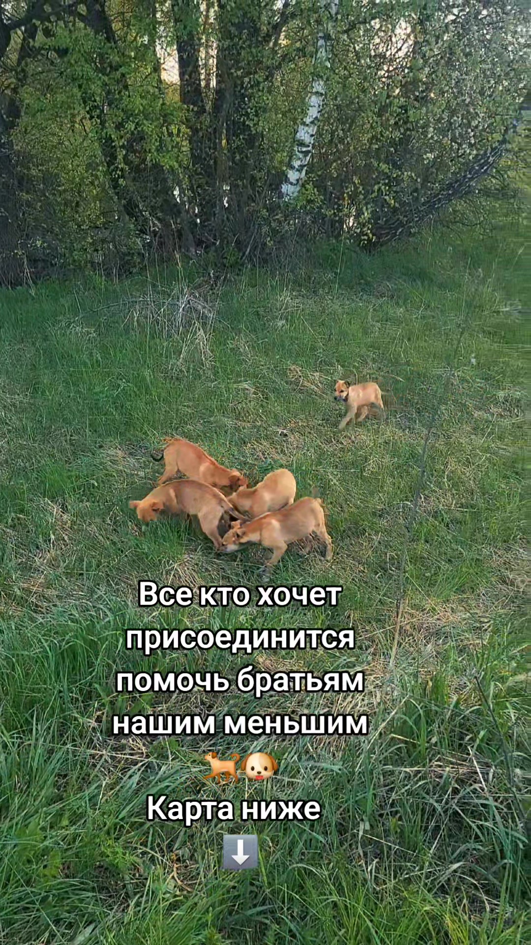 @kamisarova_94