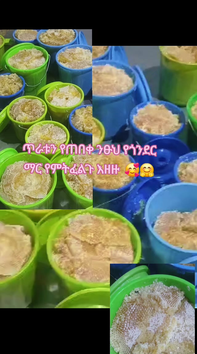 @ፀሐይ ጎንደሬዋ የአፄዎቹ ልጅ 🦁❤️