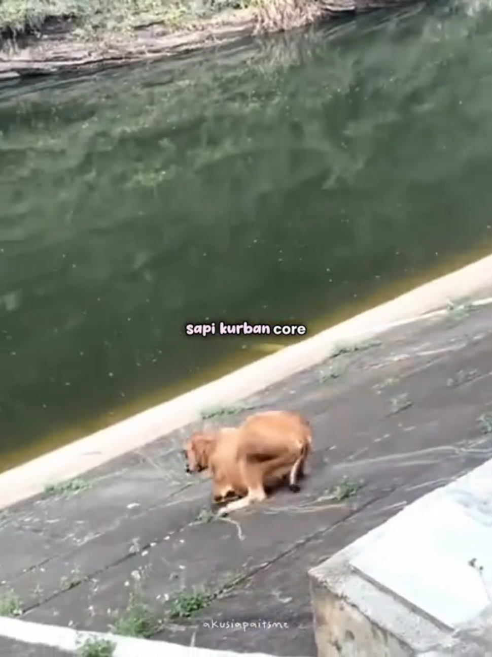 @who am i ꫂ&nbsp;ၴႅၴ