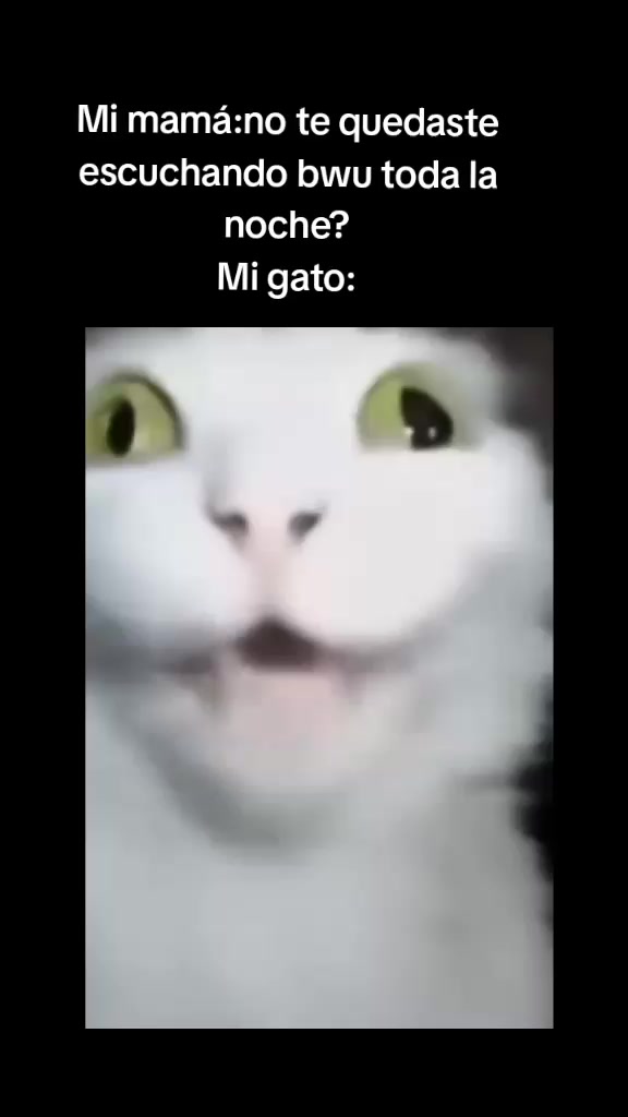 @JacobMendez