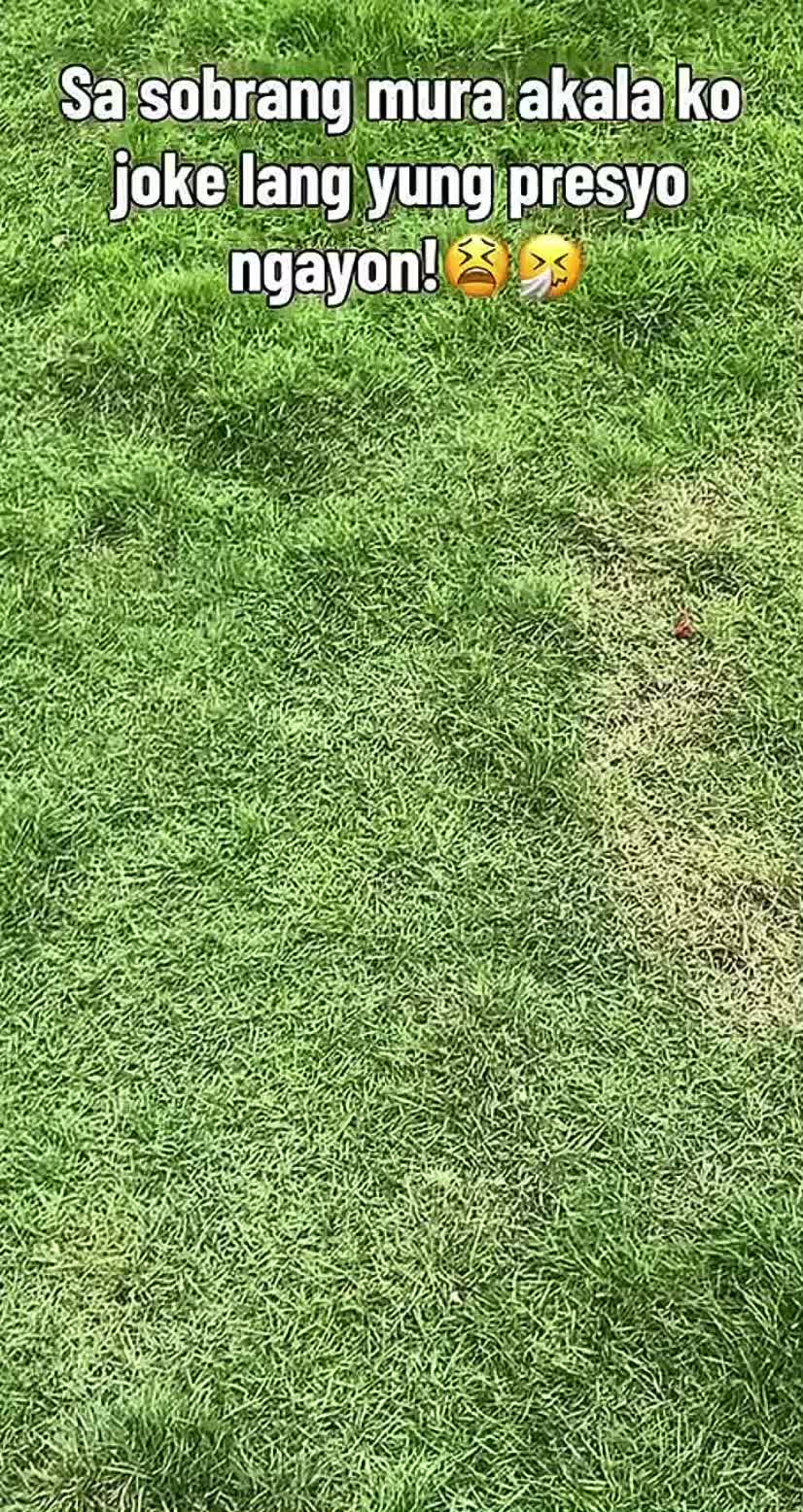 @jhonrucel1