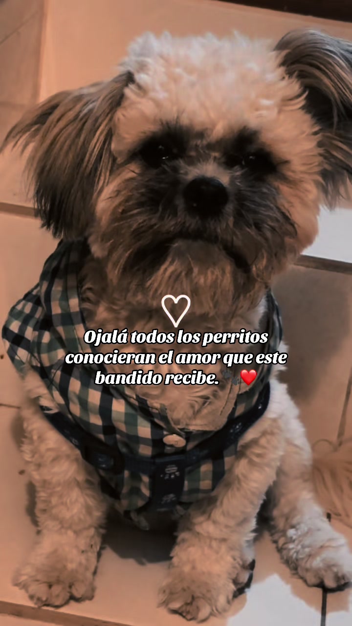 @Estefy DH