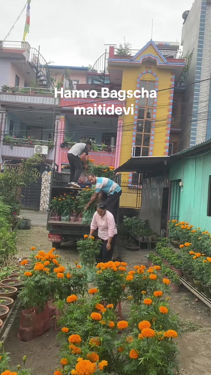 @Hamro Bagaicha