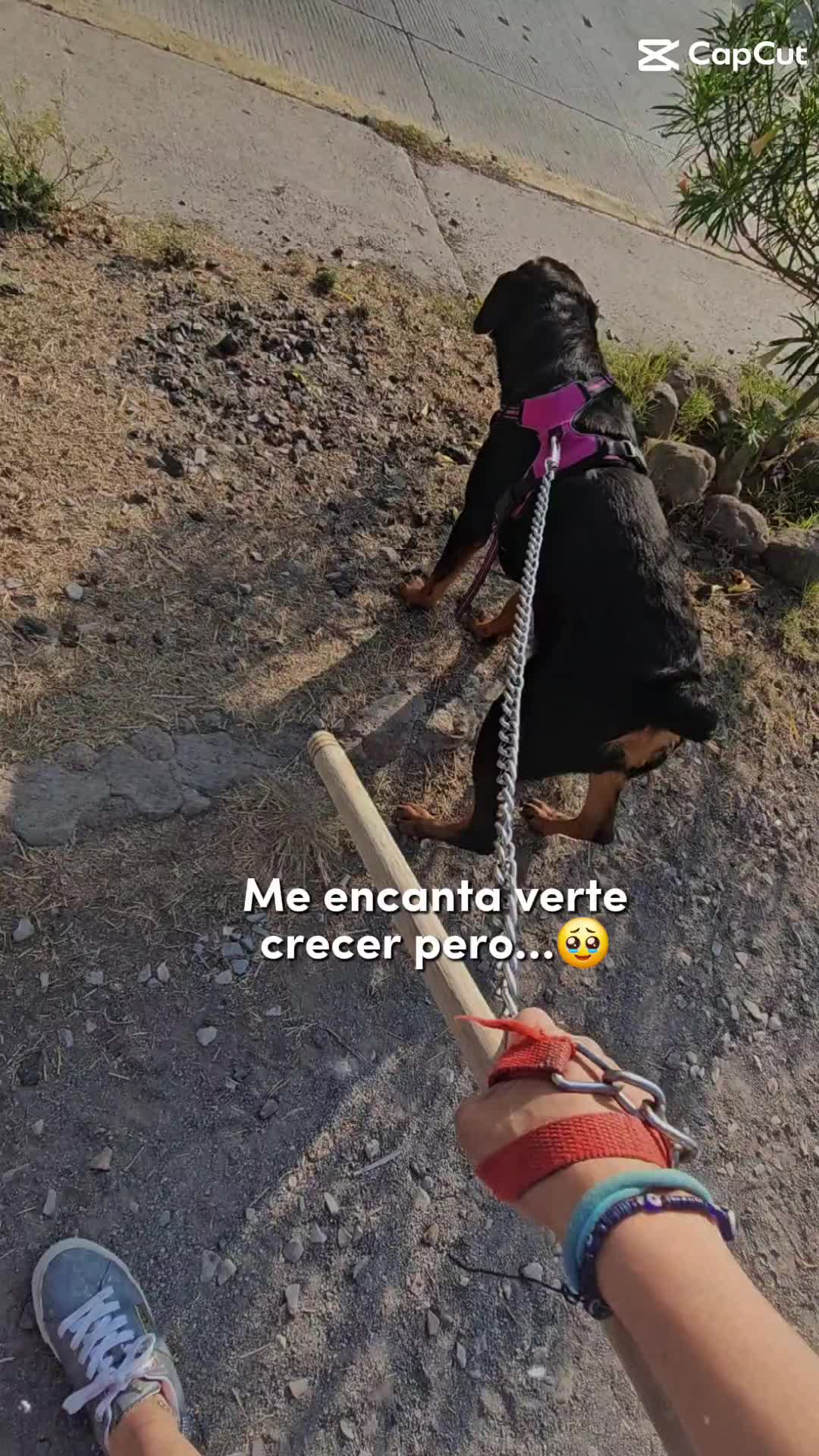 @Lu Martínez