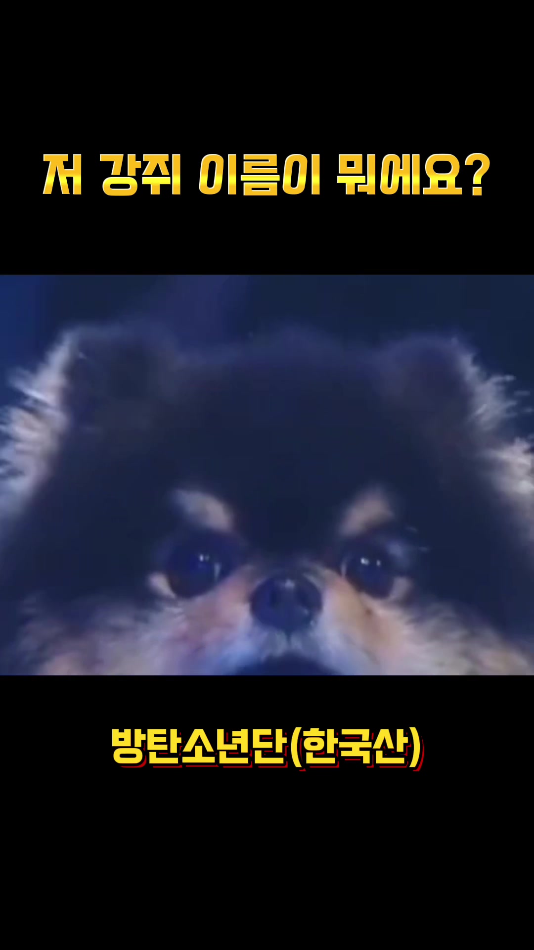 @밤이나갈래