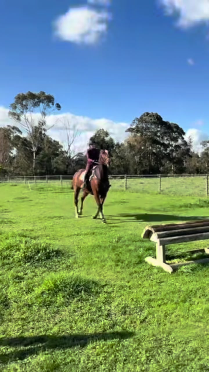 @Imi_.equestrian