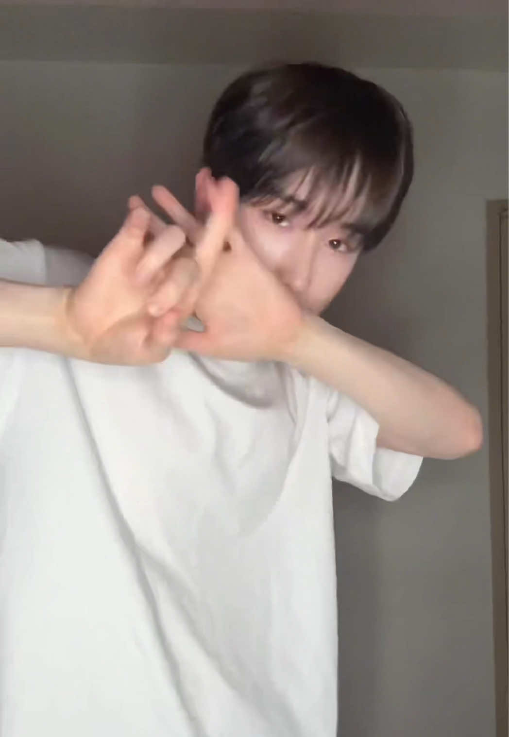 @템페스트(TEMPEST)