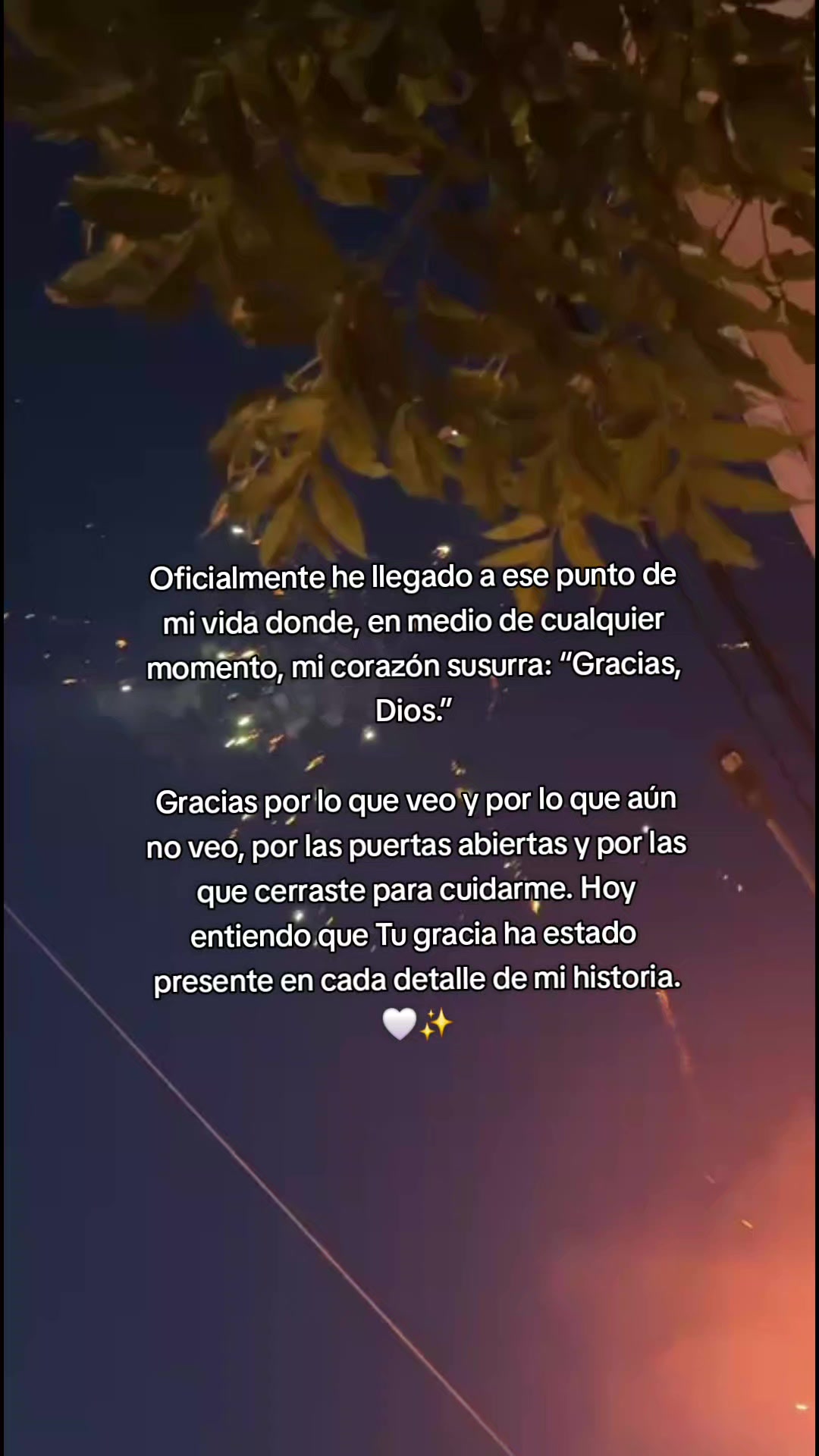 @✨️Rodriguez Cecilia 🦋