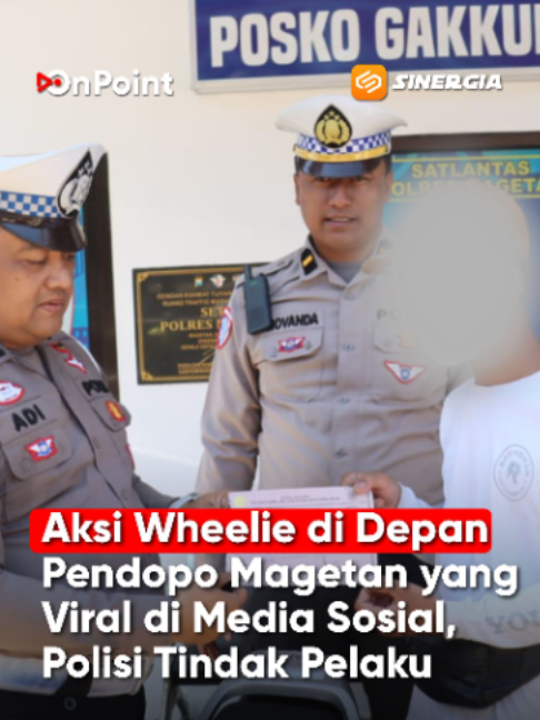 @SINERGIA MEDIATAMA