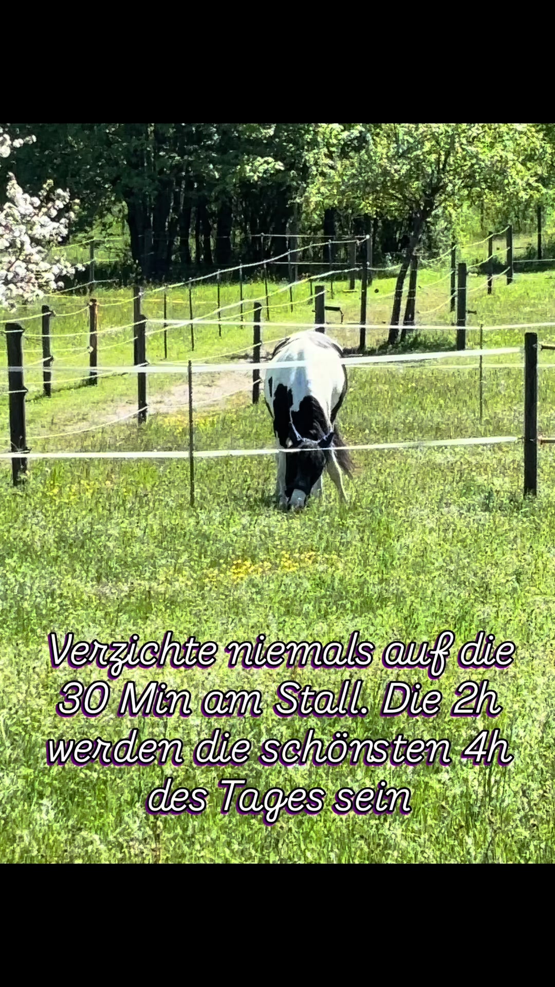 @𝑀𝑖𝑙𝑘𝑦