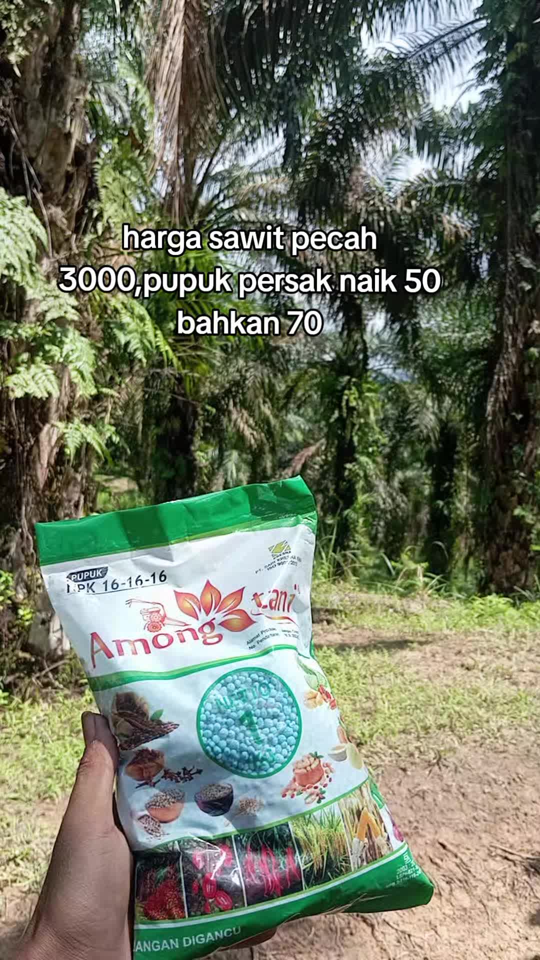 @(TARIADI@17.
