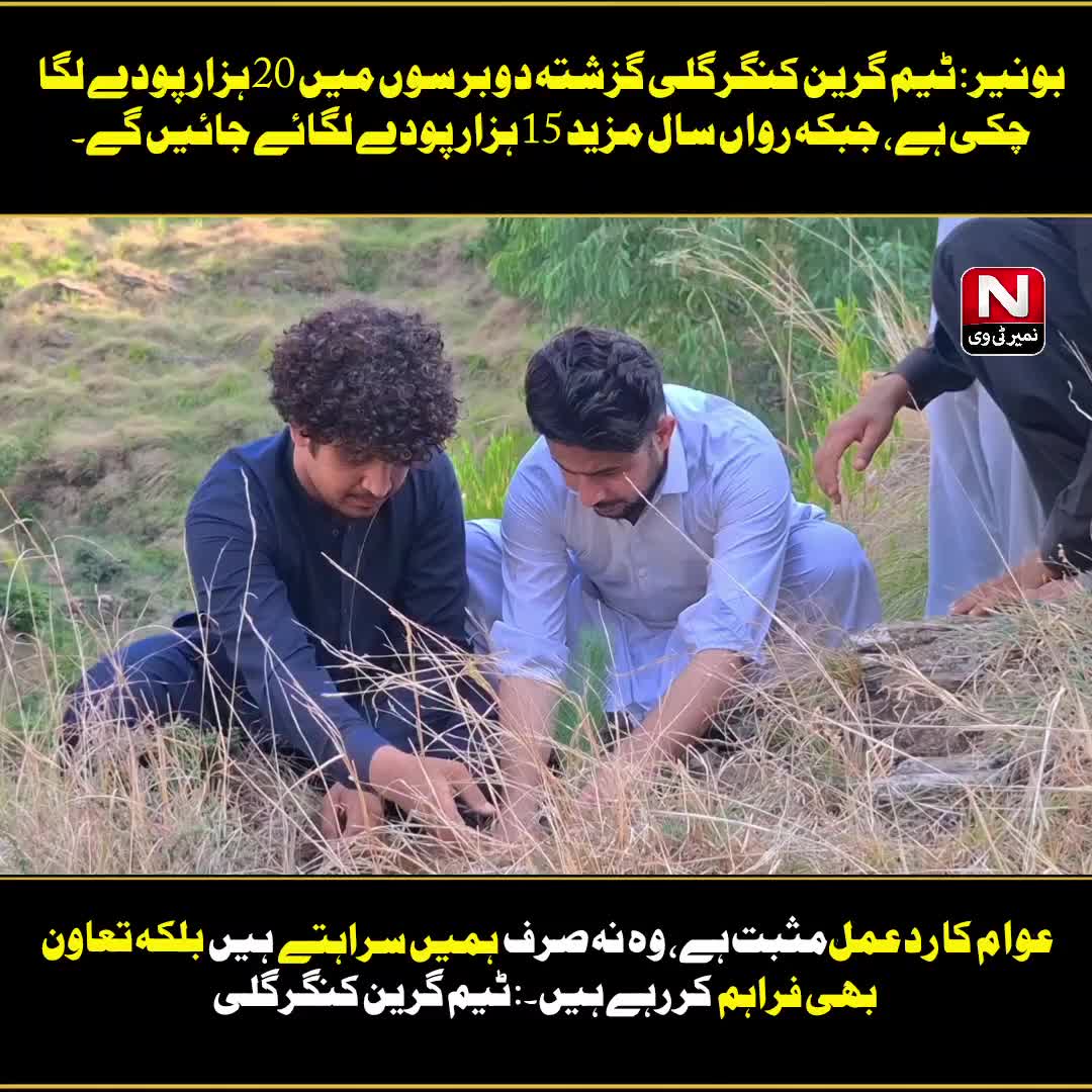 @Namair Tv (Najeebullah Najeeb)