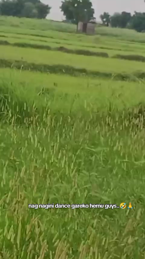 @Amrita sunar