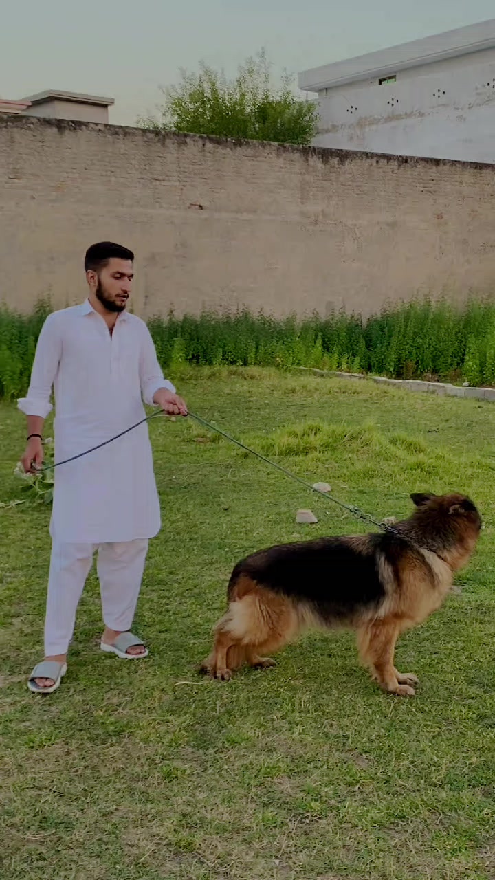 @DOGAR BADSHAH💫🦅😎