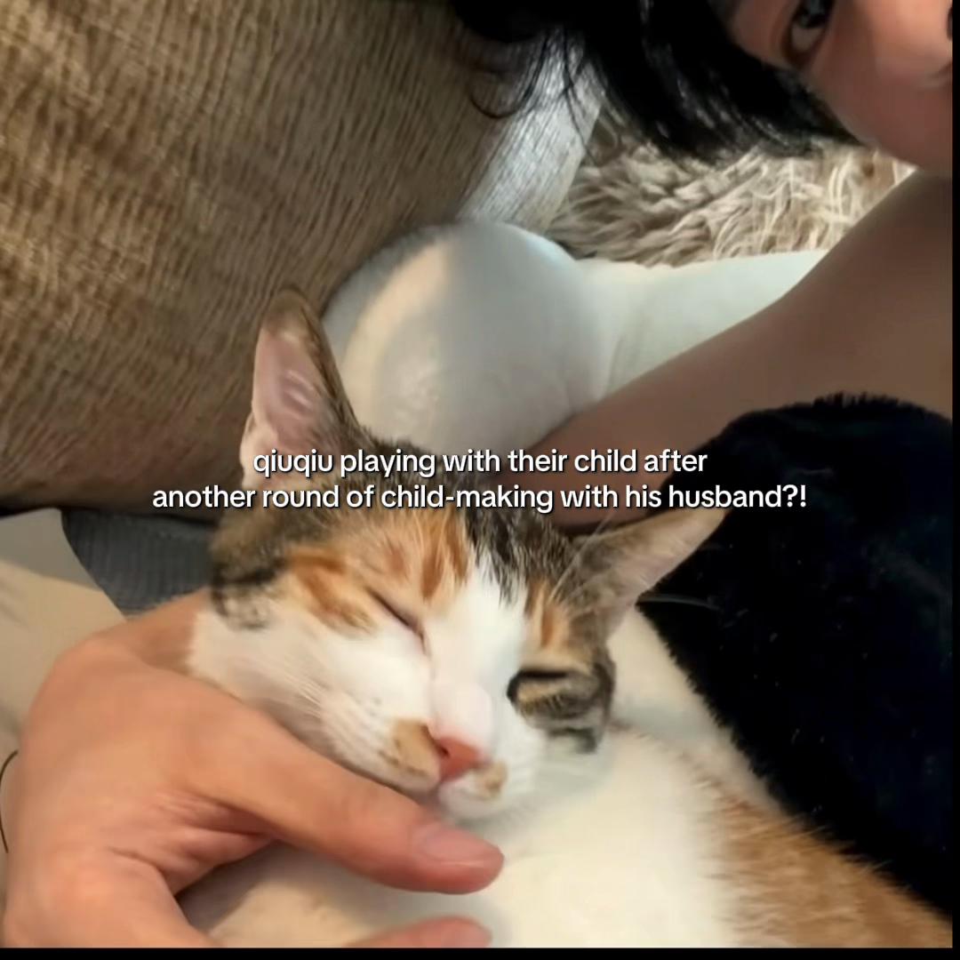 @LZ