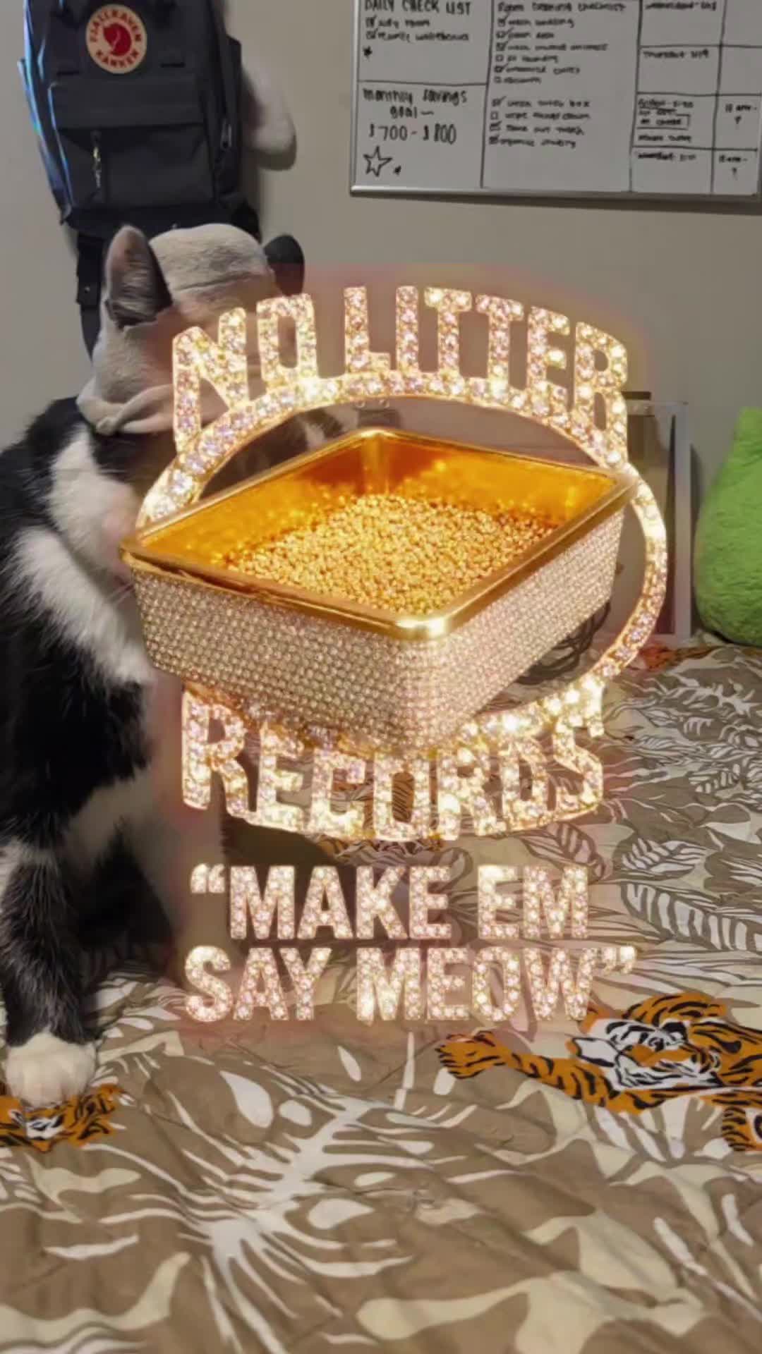 @THUGxedo Cat