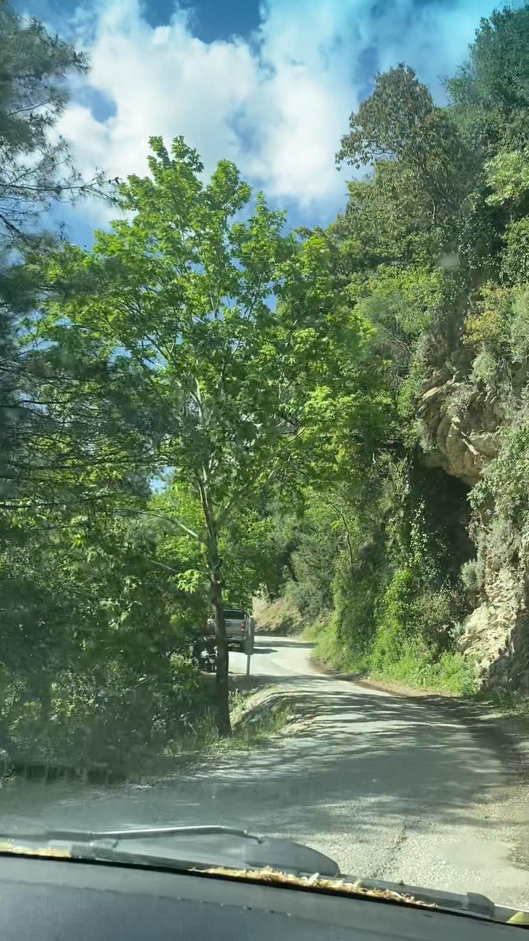 @Yelit ŞİMŞEK