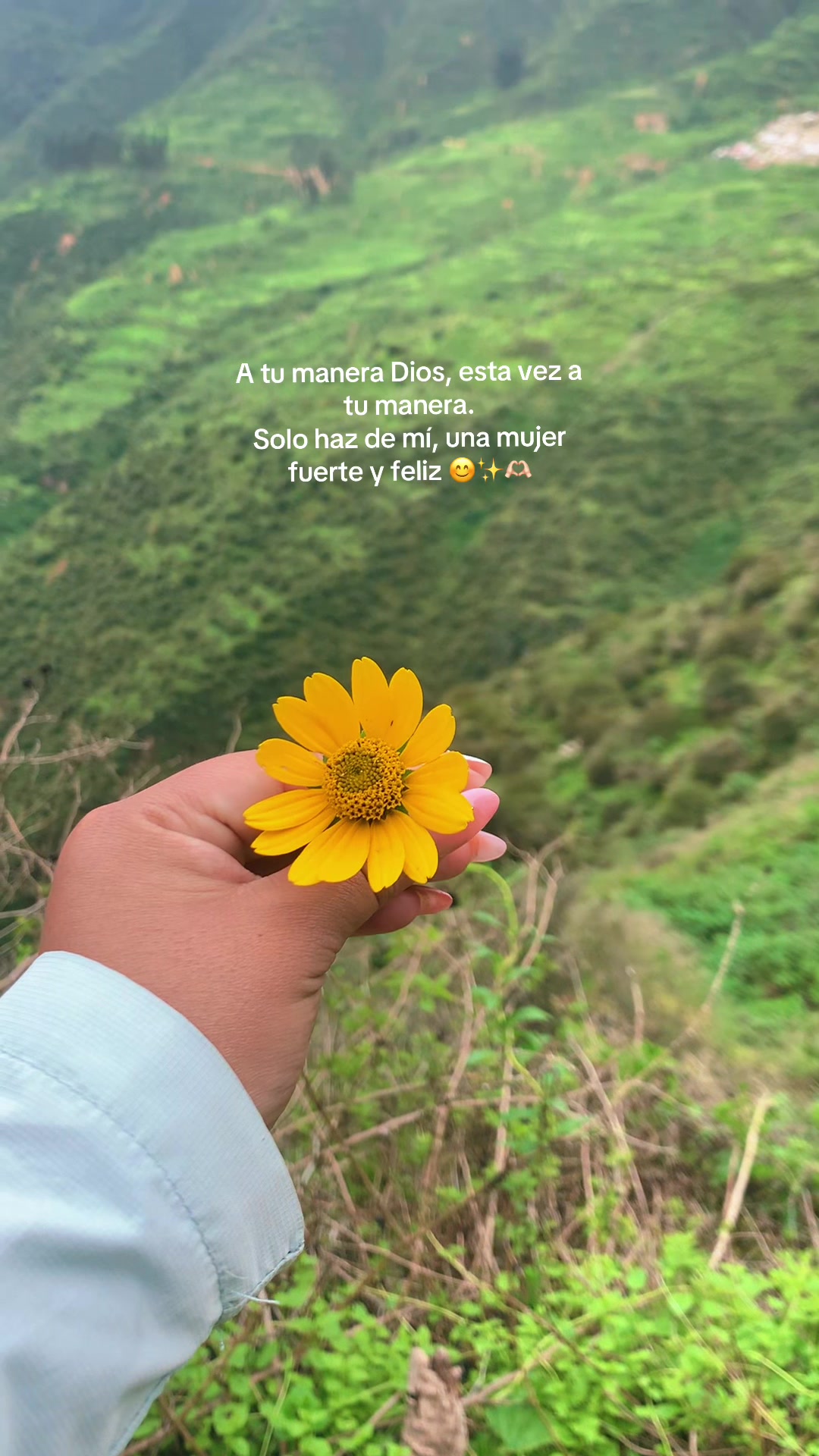 @LezSp✨🦁