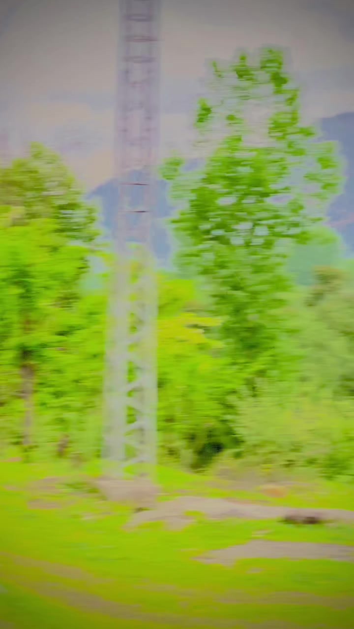 @shafoo_099