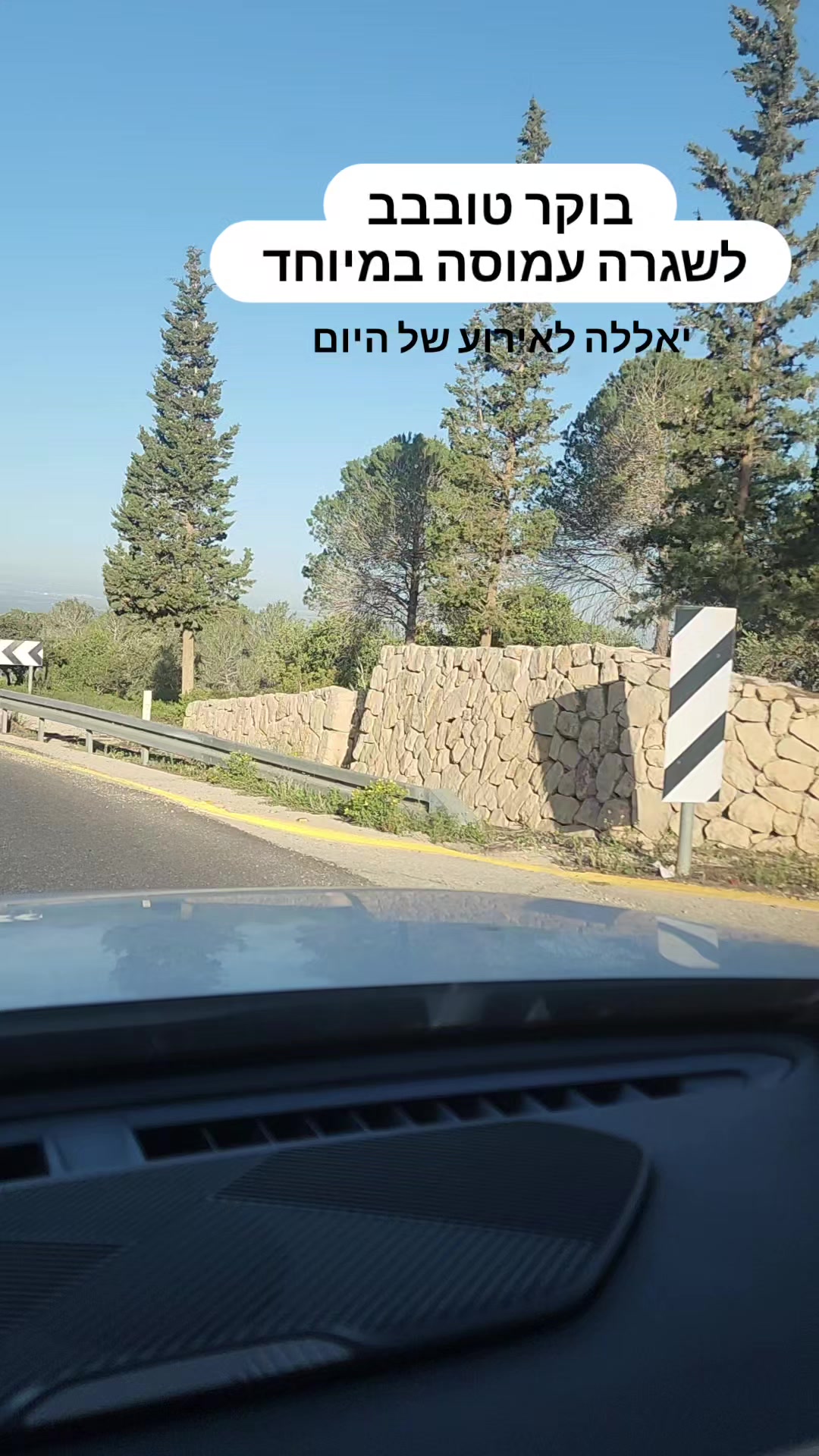 @טובי דרוק | מנגו הפקות