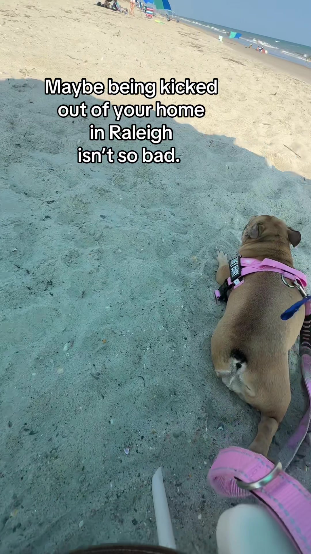 @Wulfpuppy