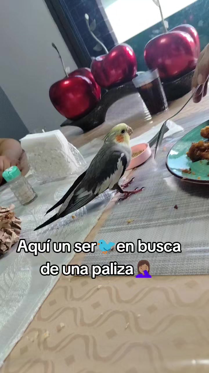 @✨🍀Gabycita🙋🏽♀️🍀✨
