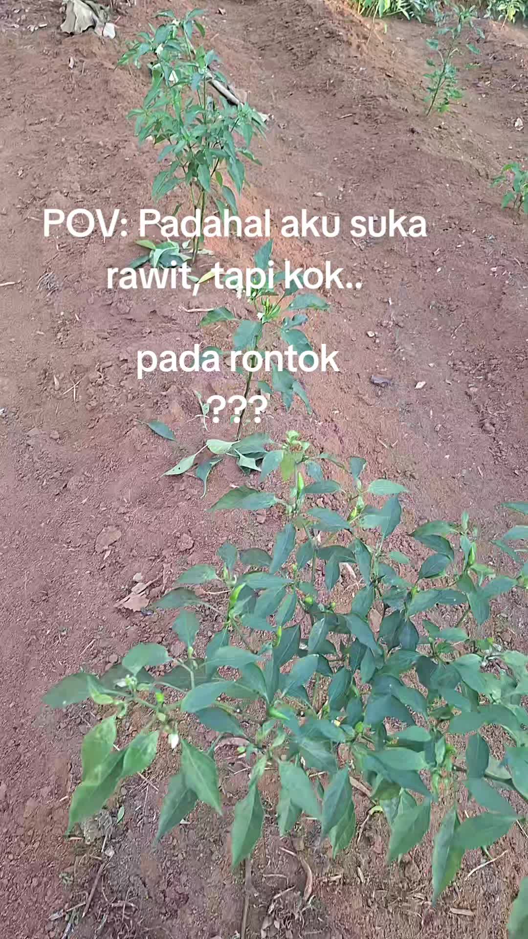 @rasnabambang