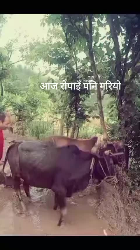 @जAराM