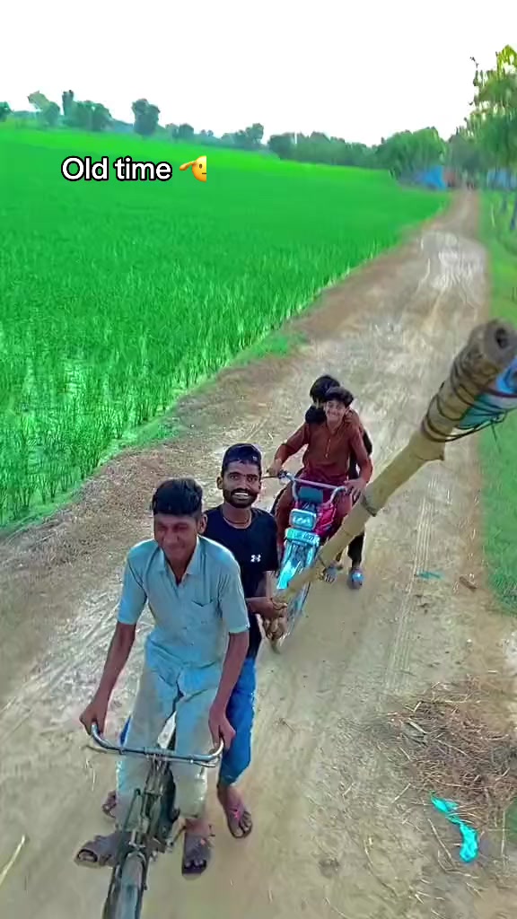 @شانی میو🌱🍁