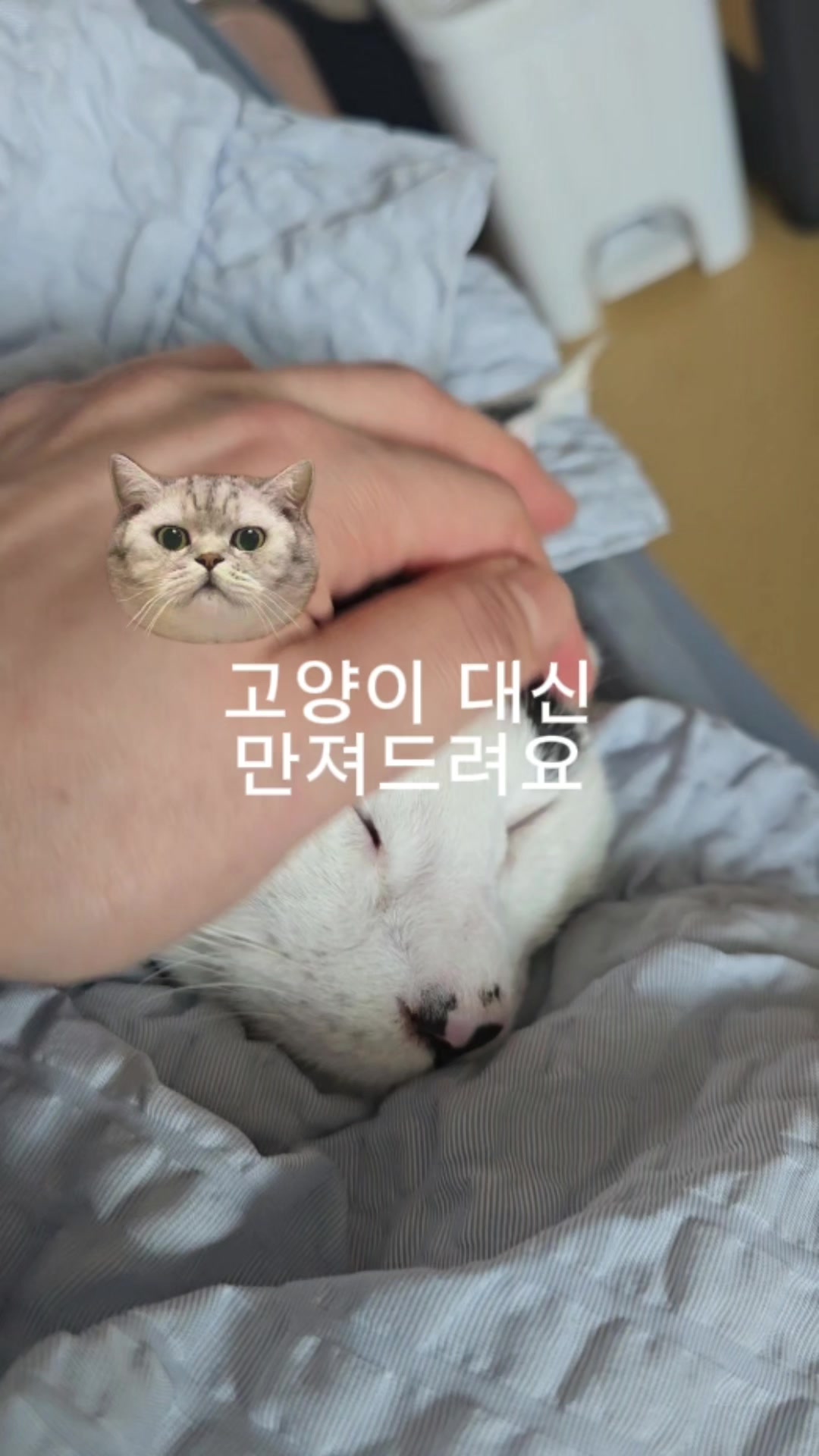 @재롬이와 재코