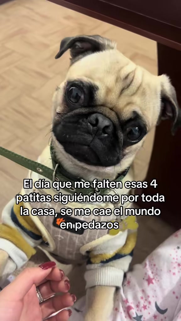 @Alexa&elcarnalchiss