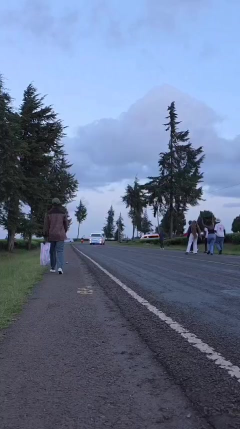 @tajiri safari
