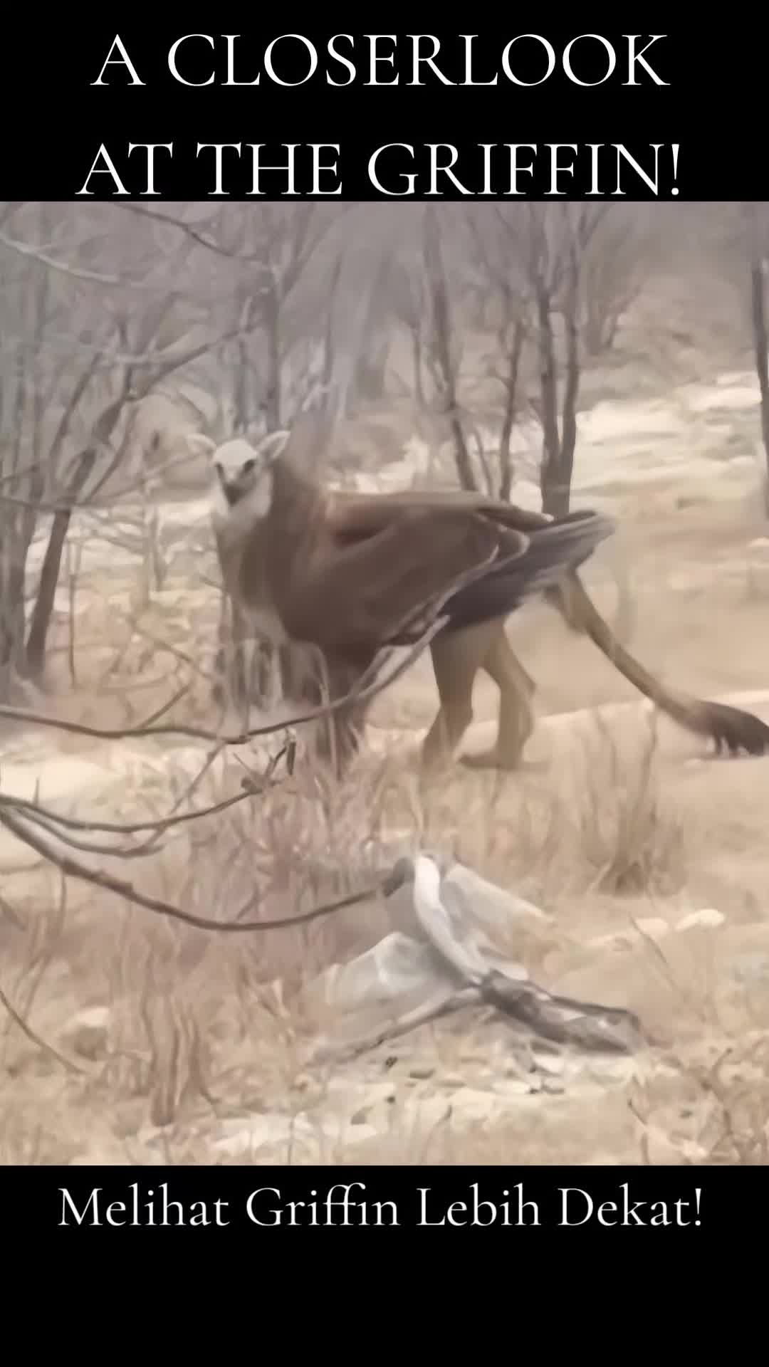 @𝕬𝖑𝖊𝖝 𝕯𝖔𝖑𝖒𝖔