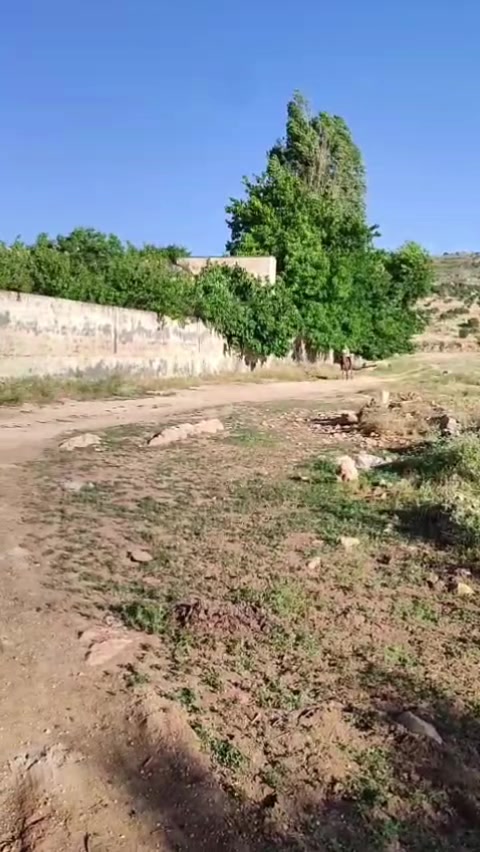 @Murat çokan