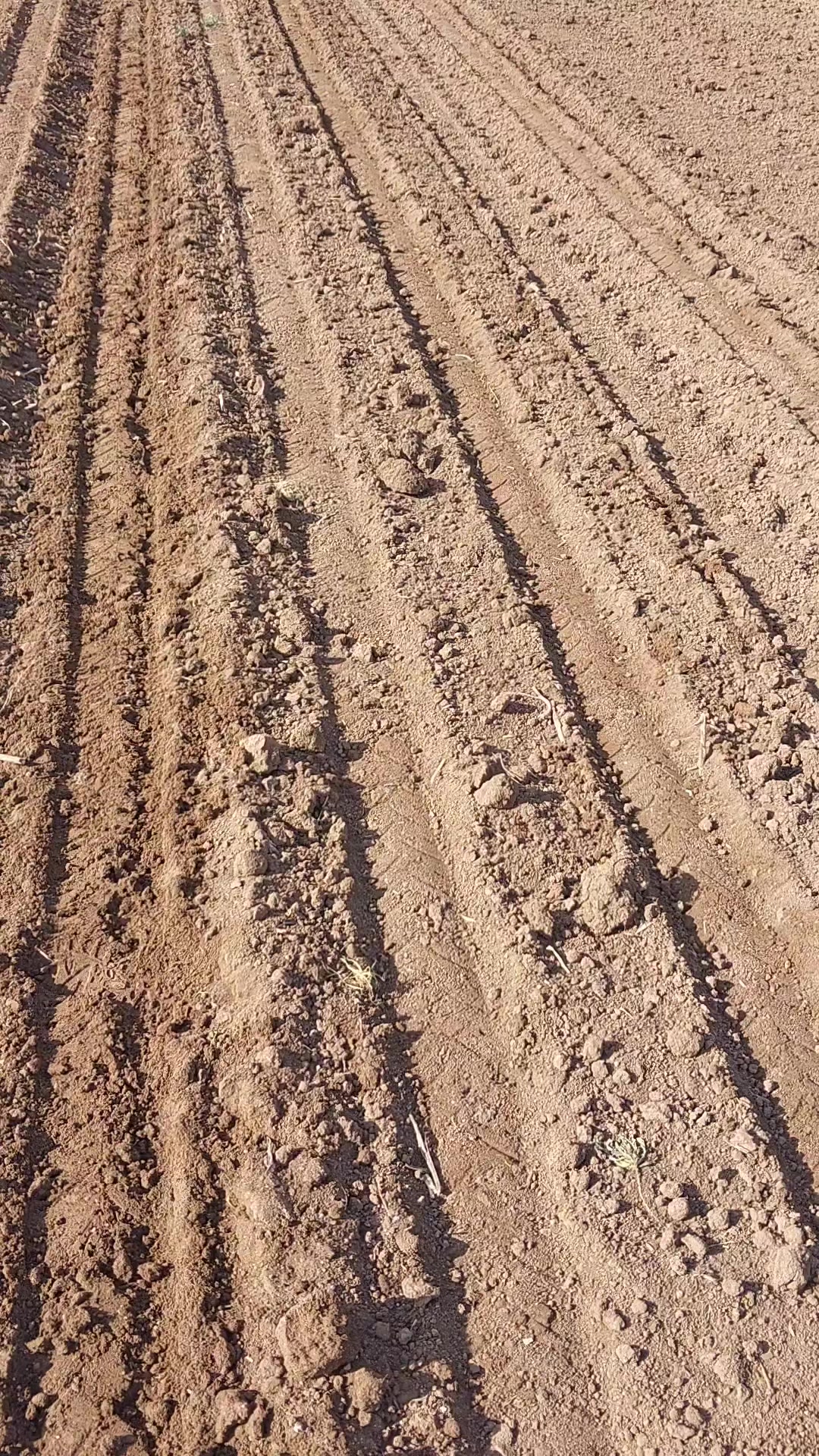 @🚜🇹🇷K@D!R YIKILM@Z🇹🇷🚜